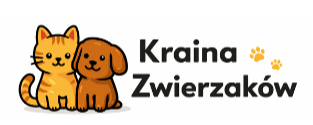 Kraina-Zwierząt